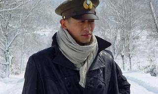 远去的飞鹰好看吗 远去的飞鹰好看吗